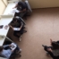 IMG_0386